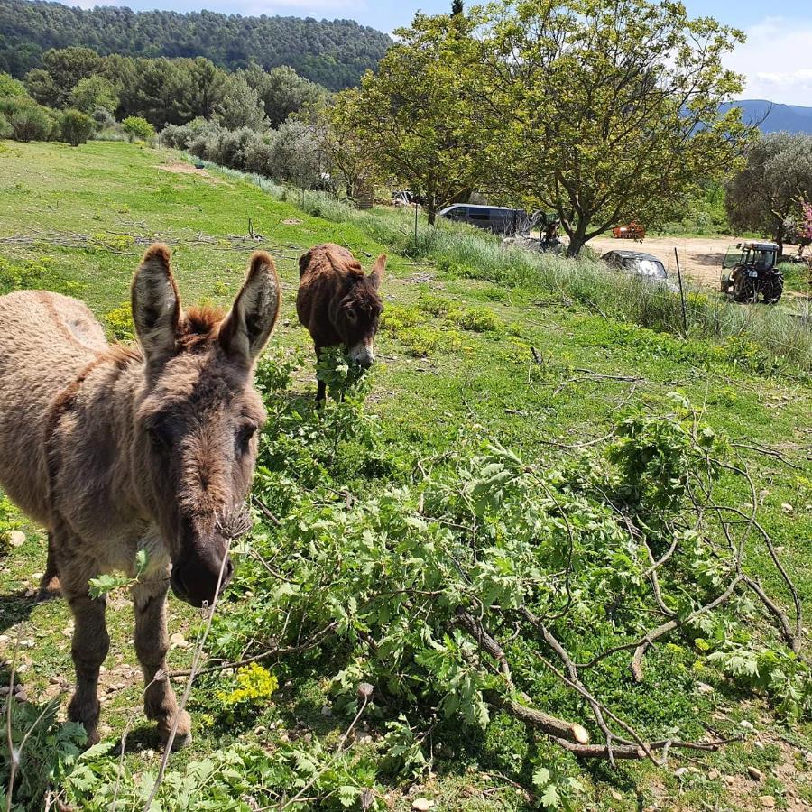 Bastide Bellugue Maison D'Hotes Reseau Bienvenue A La Ferme A 3 Minutes De Lourmarin Cadenet Dış mekan fotoğraf