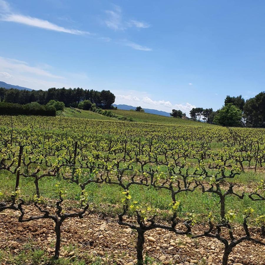 Bastide Bellugue Maison D'Hotes Reseau Bienvenue A La Ferme A 3 Minutes De Lourmarin Cadenet Dış mekan fotoğraf