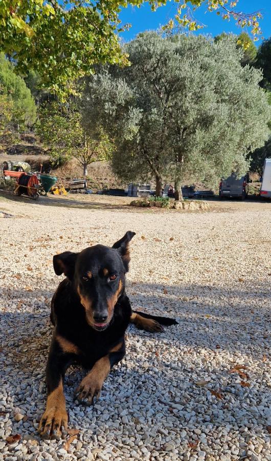Bastide Bellugue Maison D'Hotes Reseau Bienvenue A La Ferme A 3 Minutes De Lourmarin Cadenet Dış mekan fotoğraf
