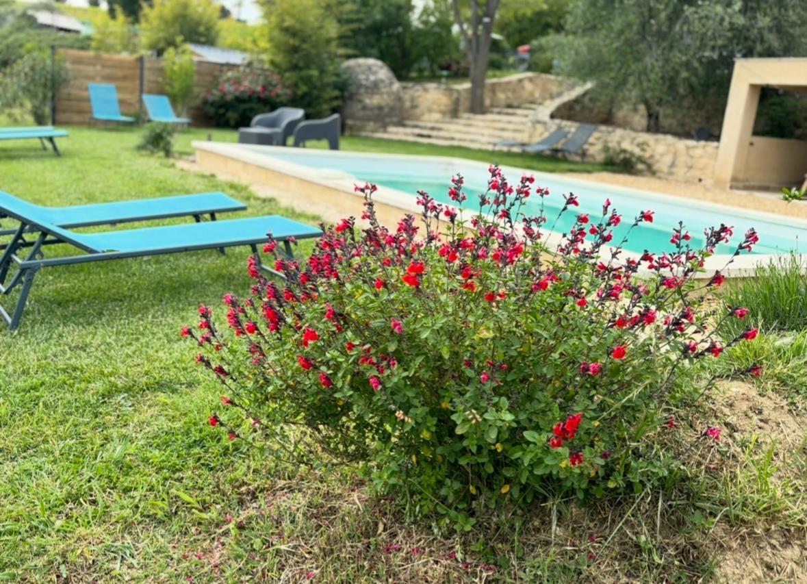 Bastide Bellugue Maison D'Hotes Reseau Bienvenue A La Ferme A 3 Minutes De Lourmarin Cadenet Dış mekan fotoğraf