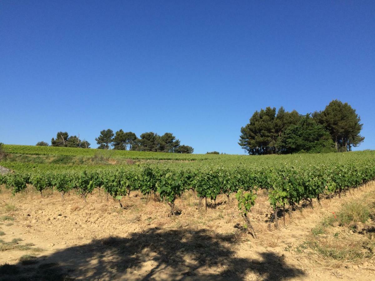 Bastide Bellugue Maison D'Hotes Reseau Bienvenue A La Ferme A 3 Minutes De Lourmarin Cadenet Dış mekan fotoğraf