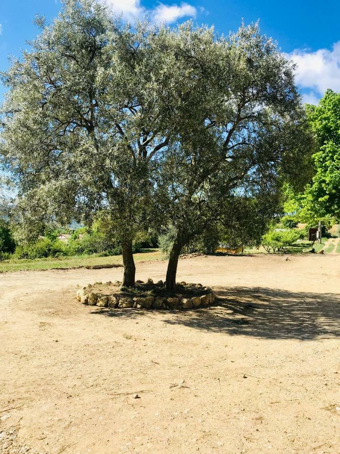 Bastide Bellugue Maison D'Hotes Reseau Bienvenue A La Ferme A 3 Minutes De Lourmarin Cadenet Dış mekan fotoğraf